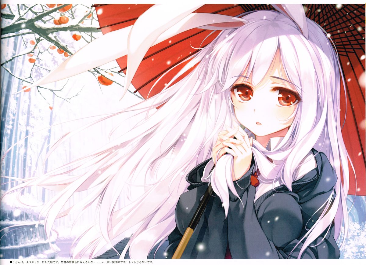 (C85) [劇毒少女 (ke-ta)] FIREPLACE (東方Project)