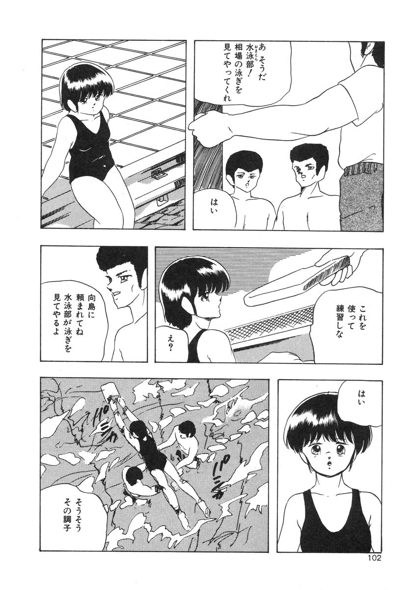 [上総志摩] マイドール