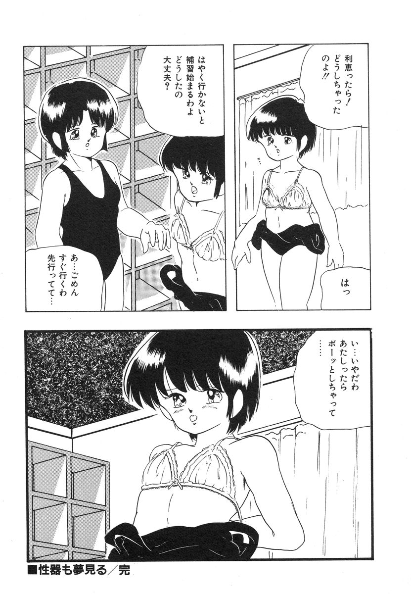 [上総志摩] マイドール