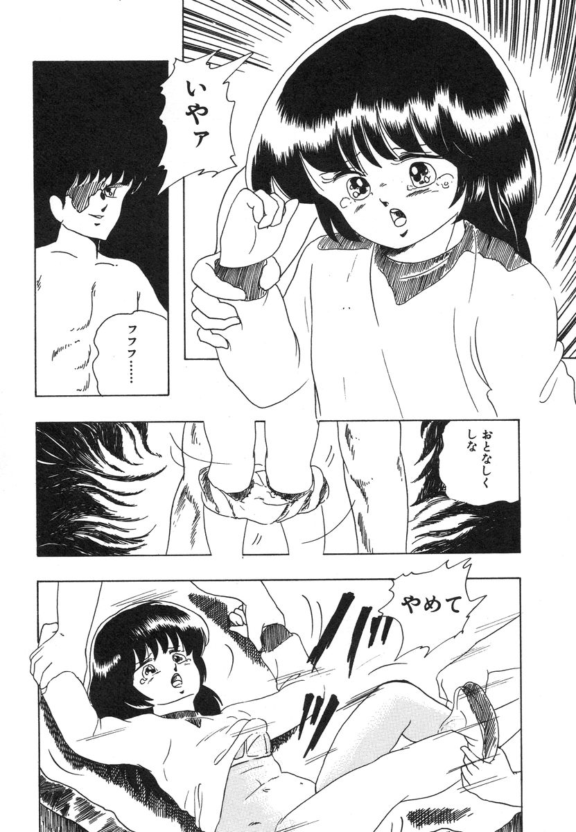 [上総志摩] マイドール