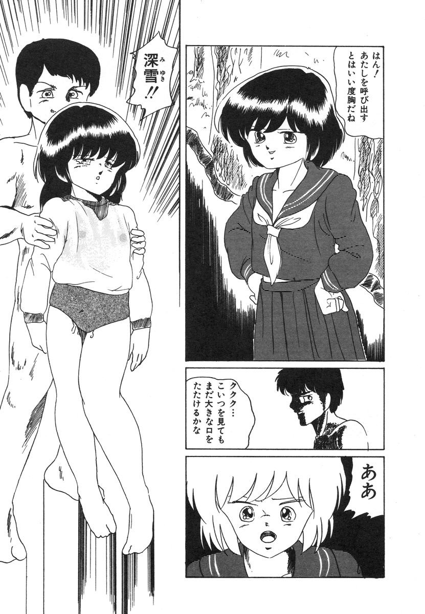 [上総志摩] マイドール