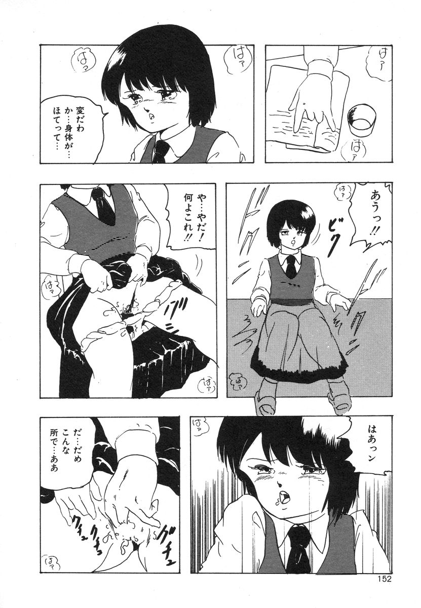 [上総志摩] マイドール