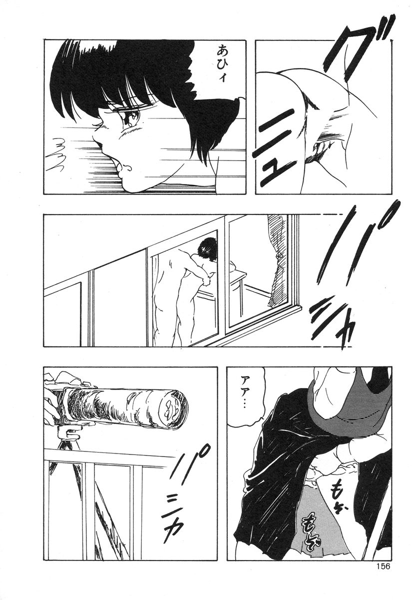 [上総志摩] マイドール