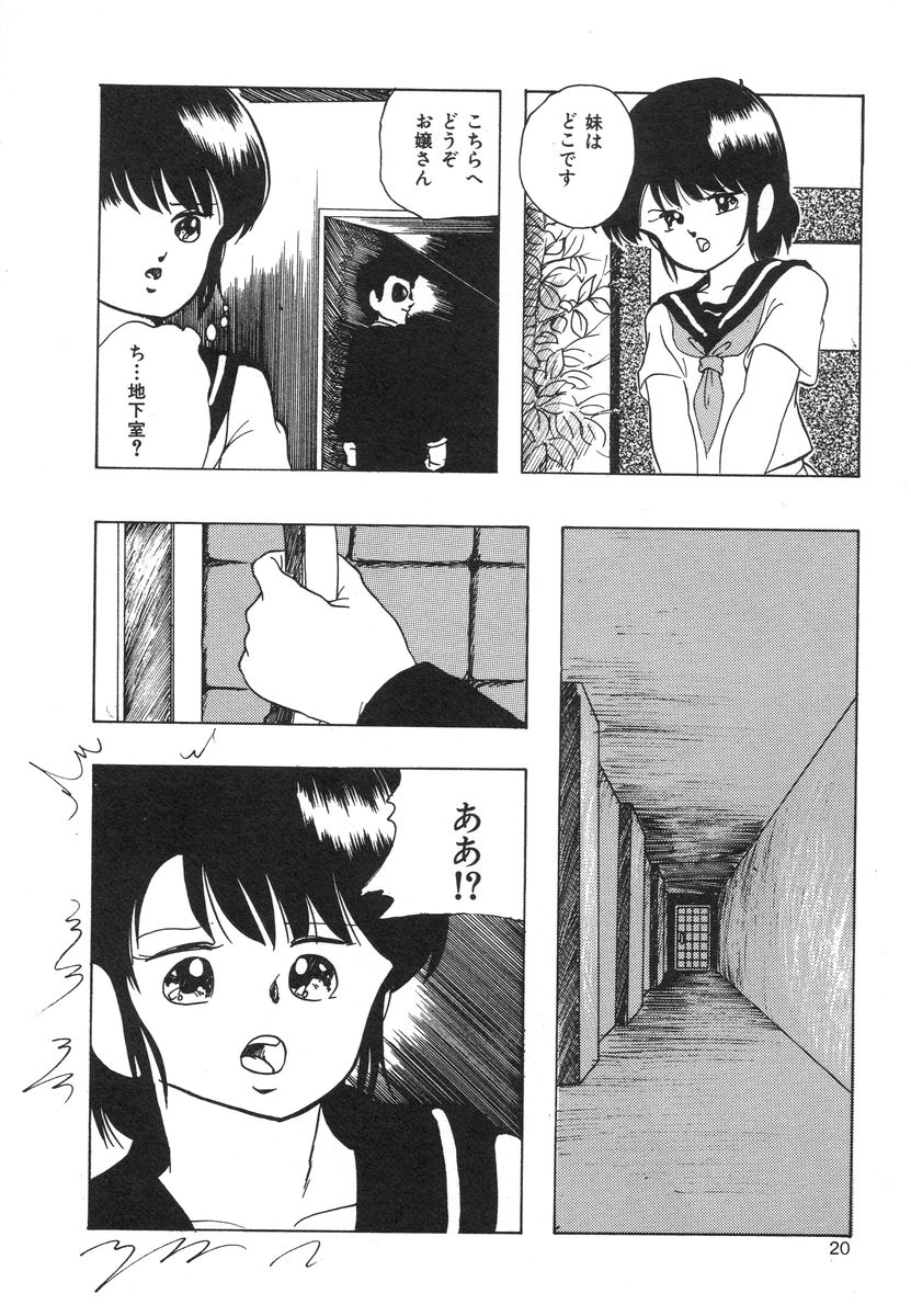 [上総志摩] マイドール