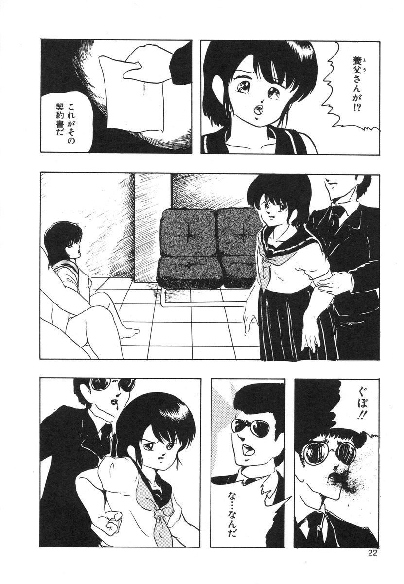 [上総志摩] マイドール