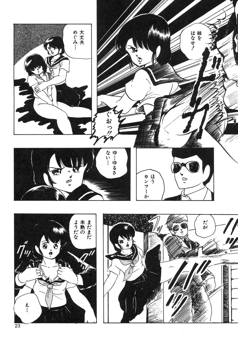 [上総志摩] マイドール