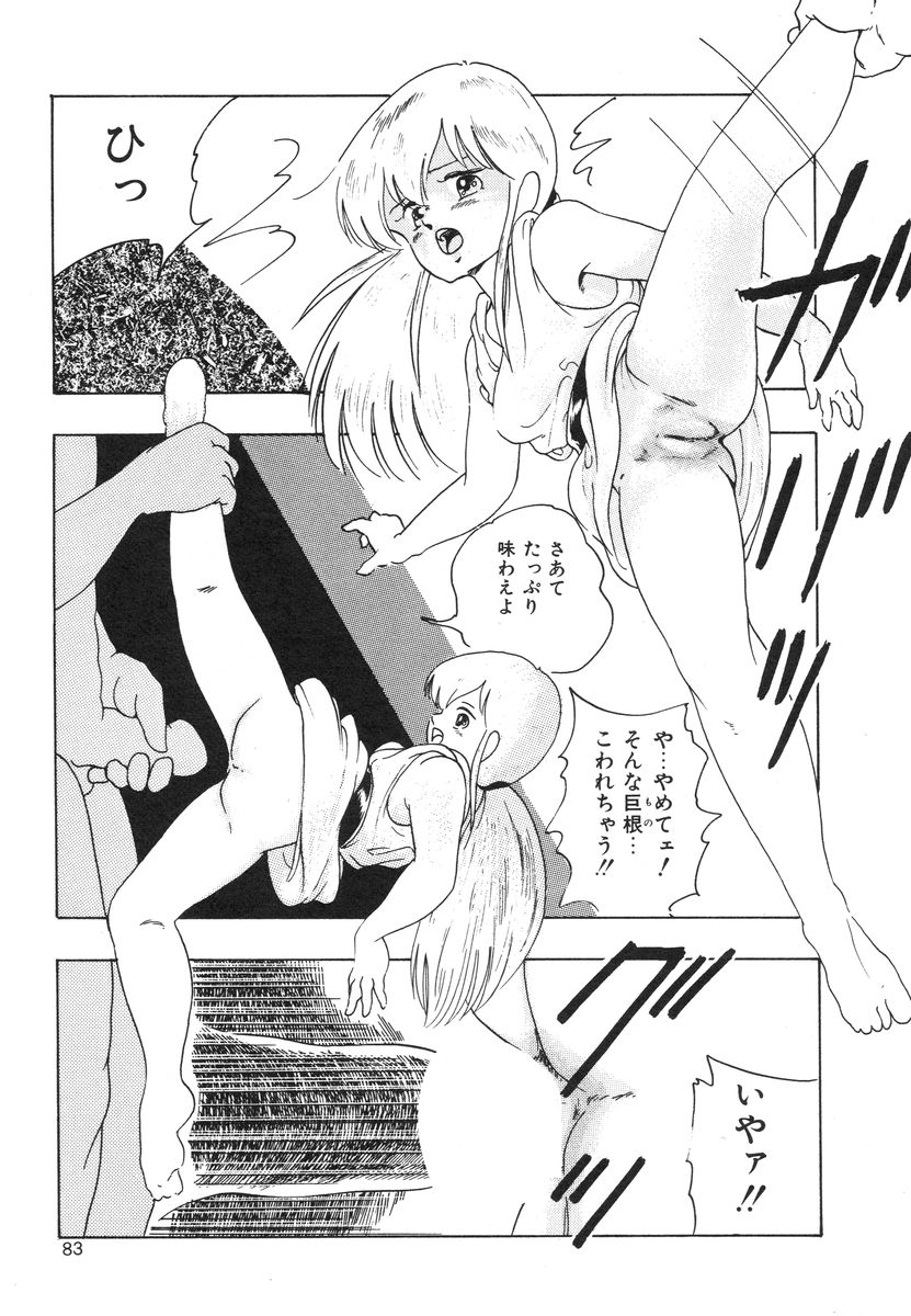 [上総志摩] マイドール