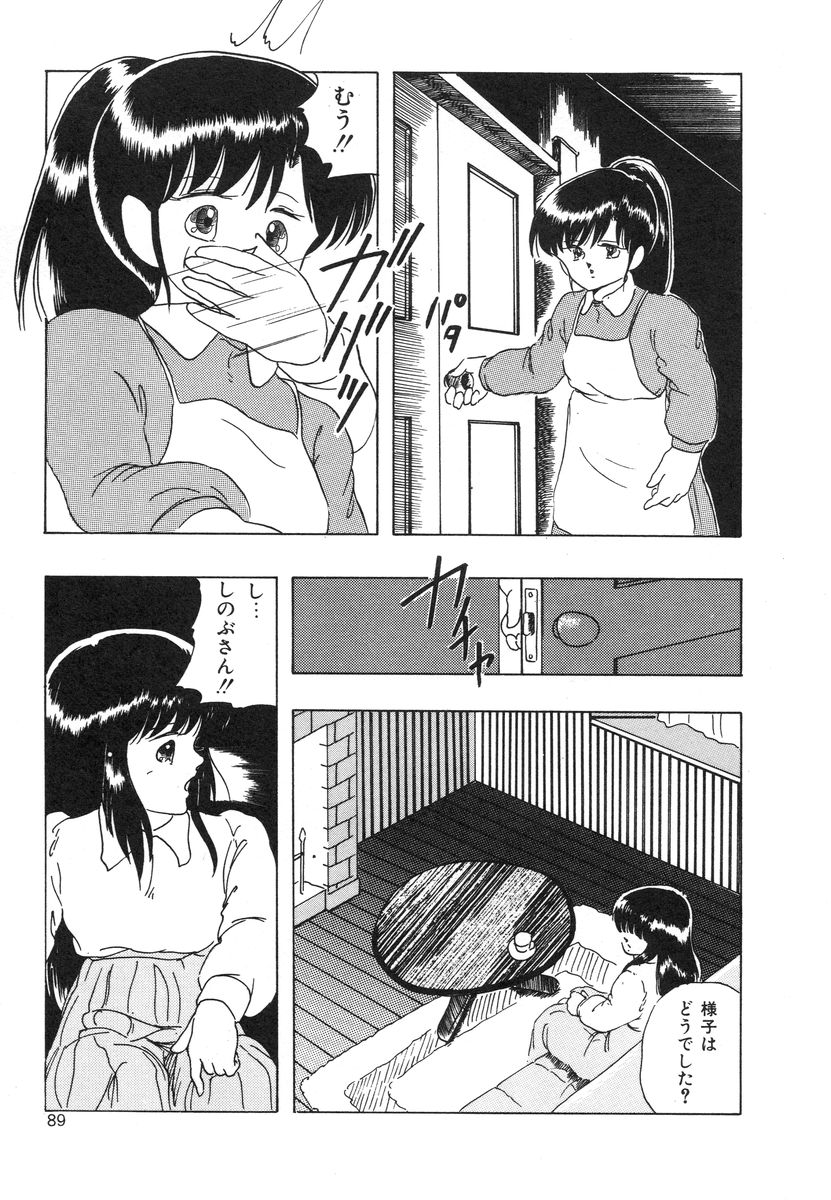 [上総志摩] マイドール