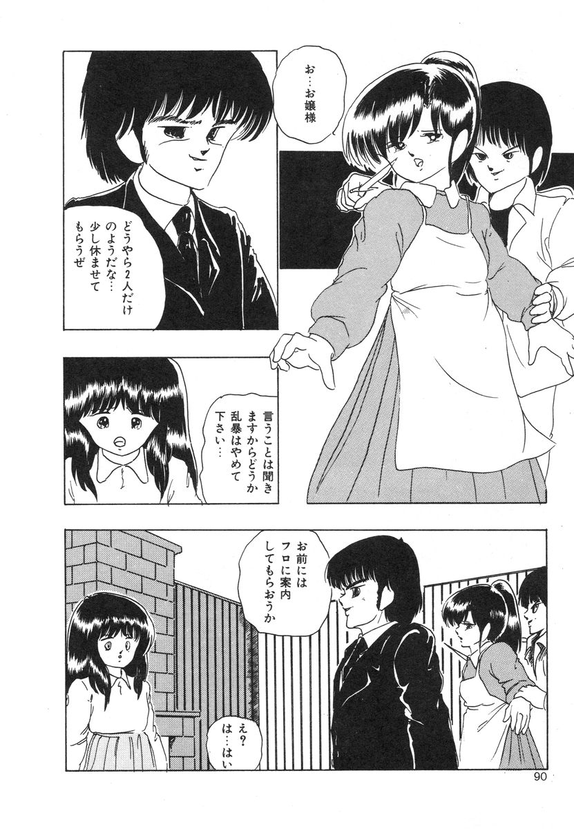 [上総志摩] マイドール