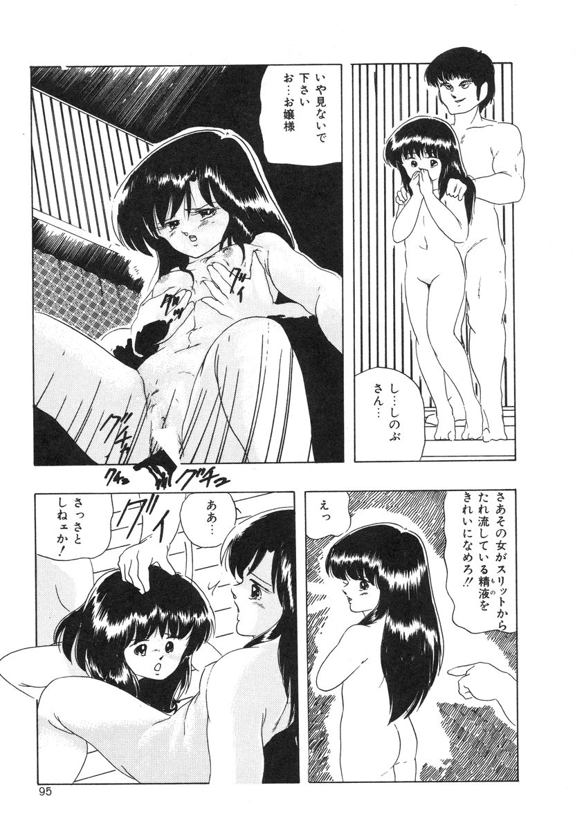 [上総志摩] マイドール