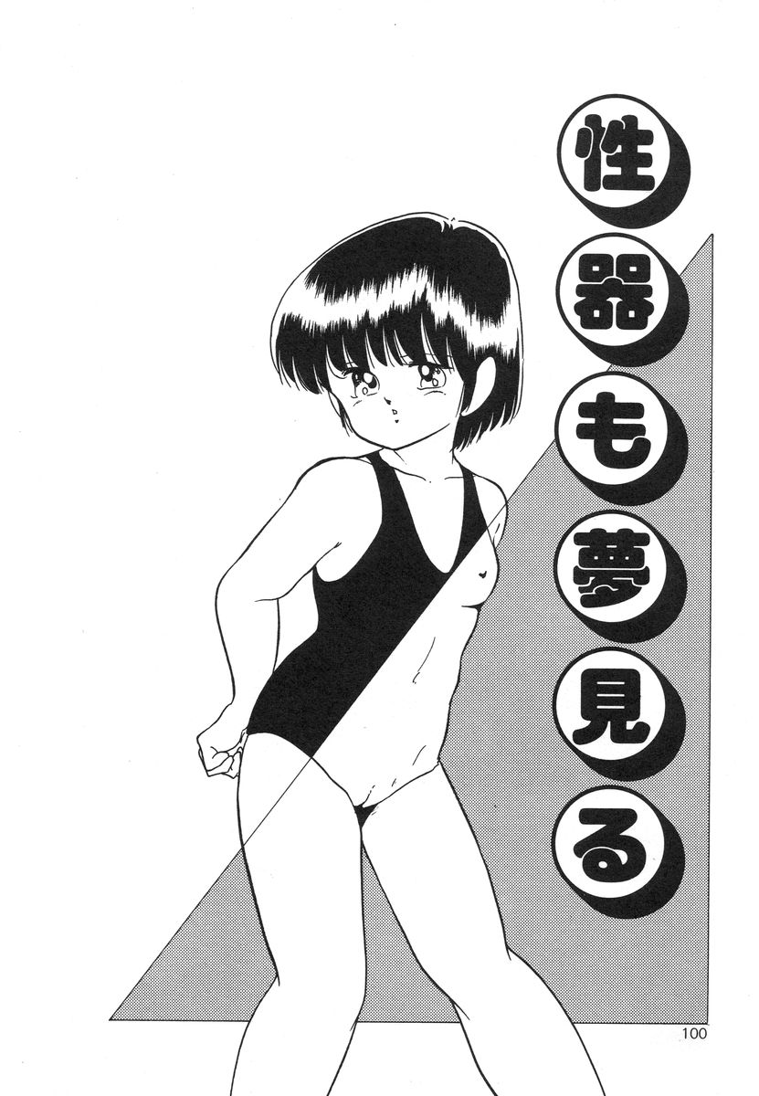 [上総志摩] マイドール