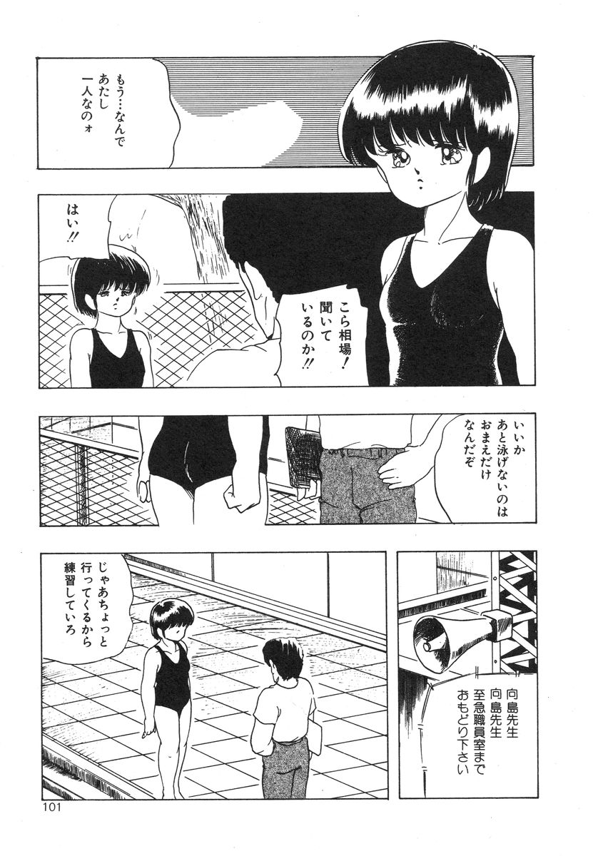 [上総志摩] マイドール