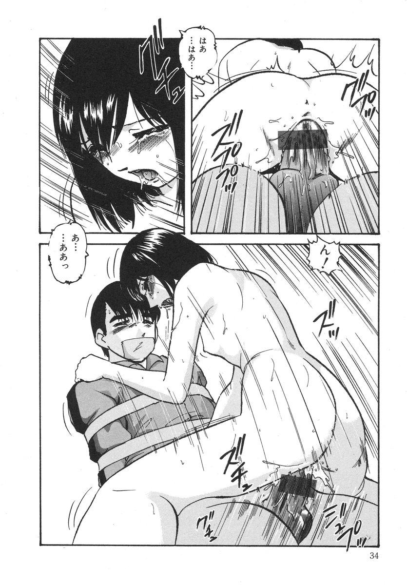 [上総志摩] とろける味わい