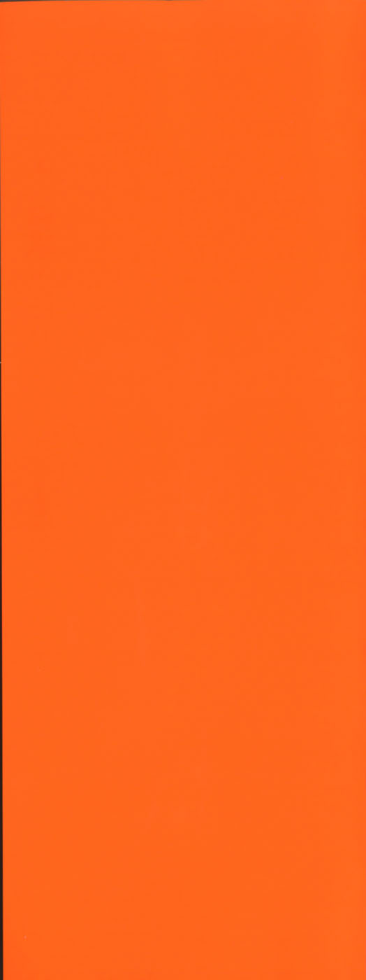 [米餠昭彦(なめぞう)] おとなチャレンジ