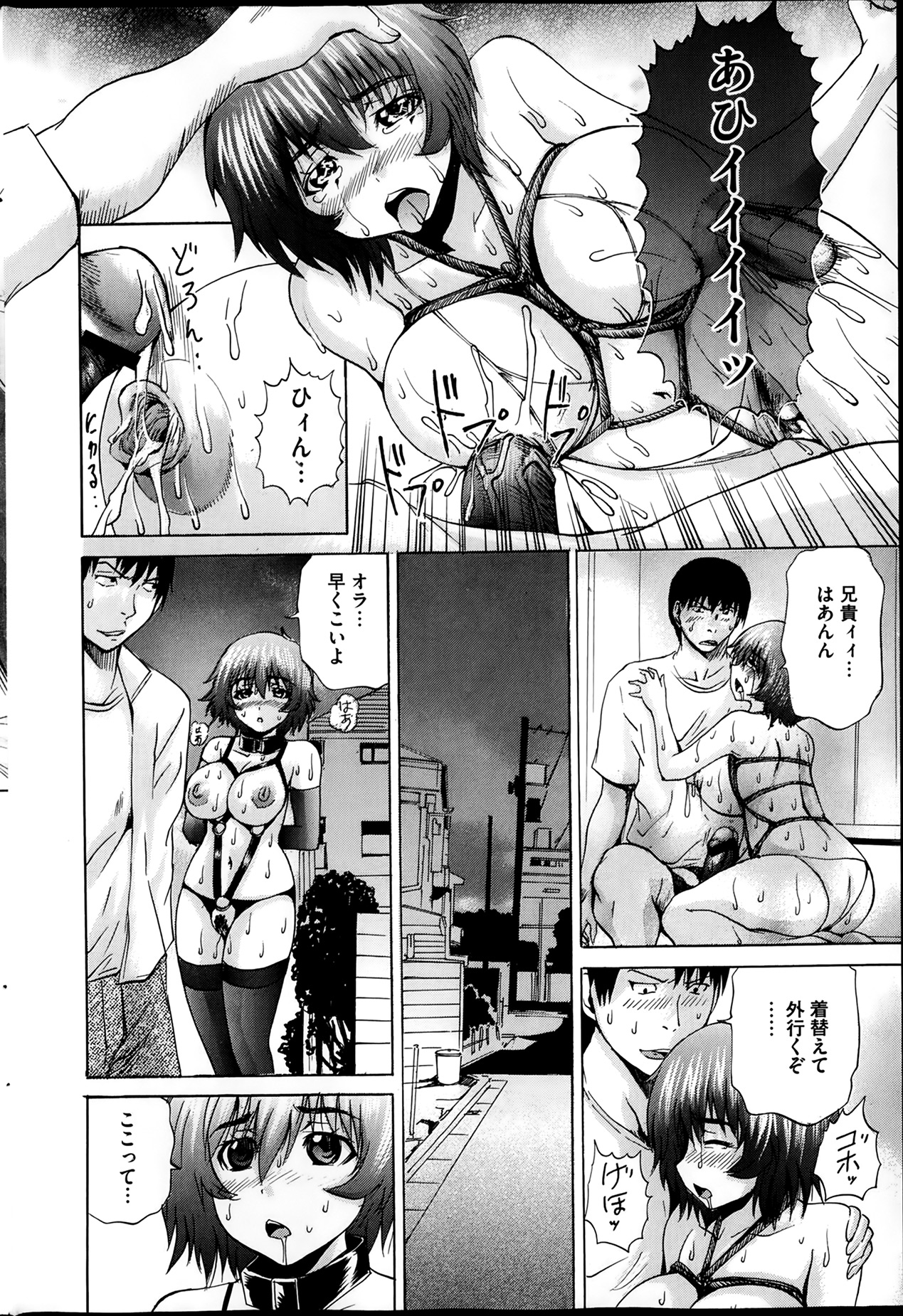 [雑誌] コミックMate 2014年02月号