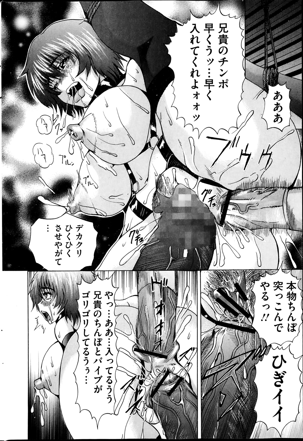 [雑誌] コミックMate 2014年02月号