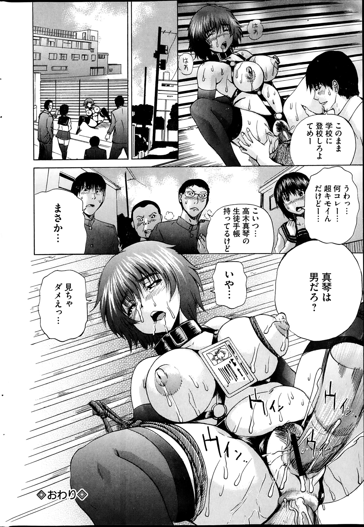 [雑誌] コミックMate 2014年02月号