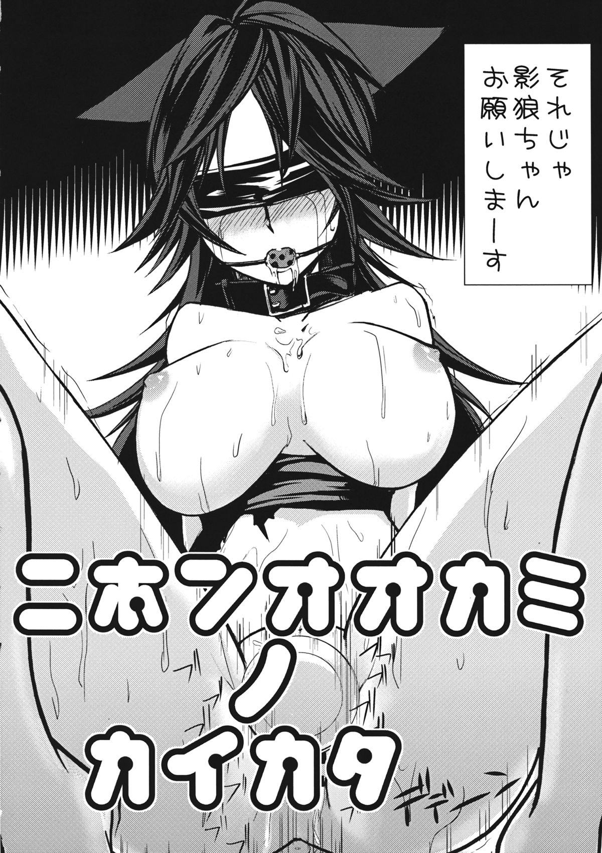 (C85) [アカイキツネ (八咲)] ニホンオオカミノカイカタ (東方Project)