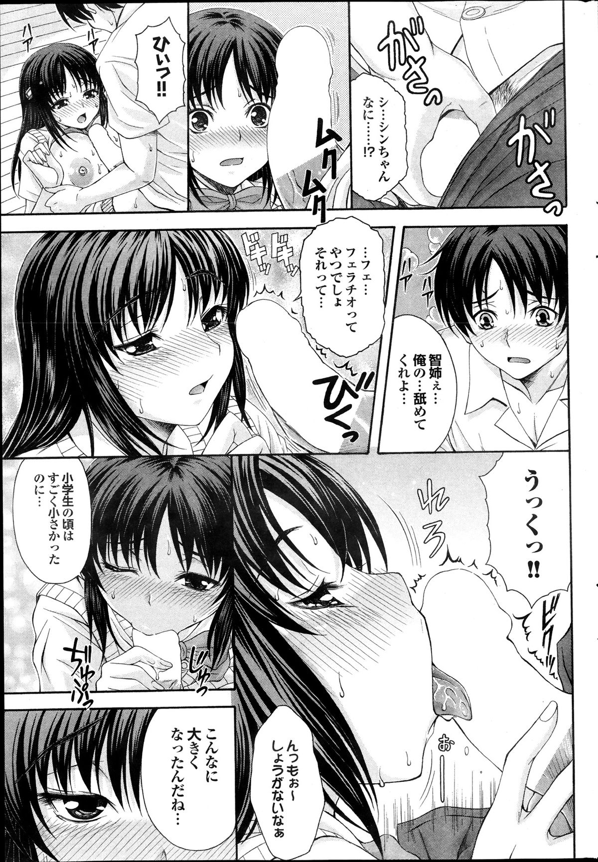 COMIC プルメロ 2013年12月号