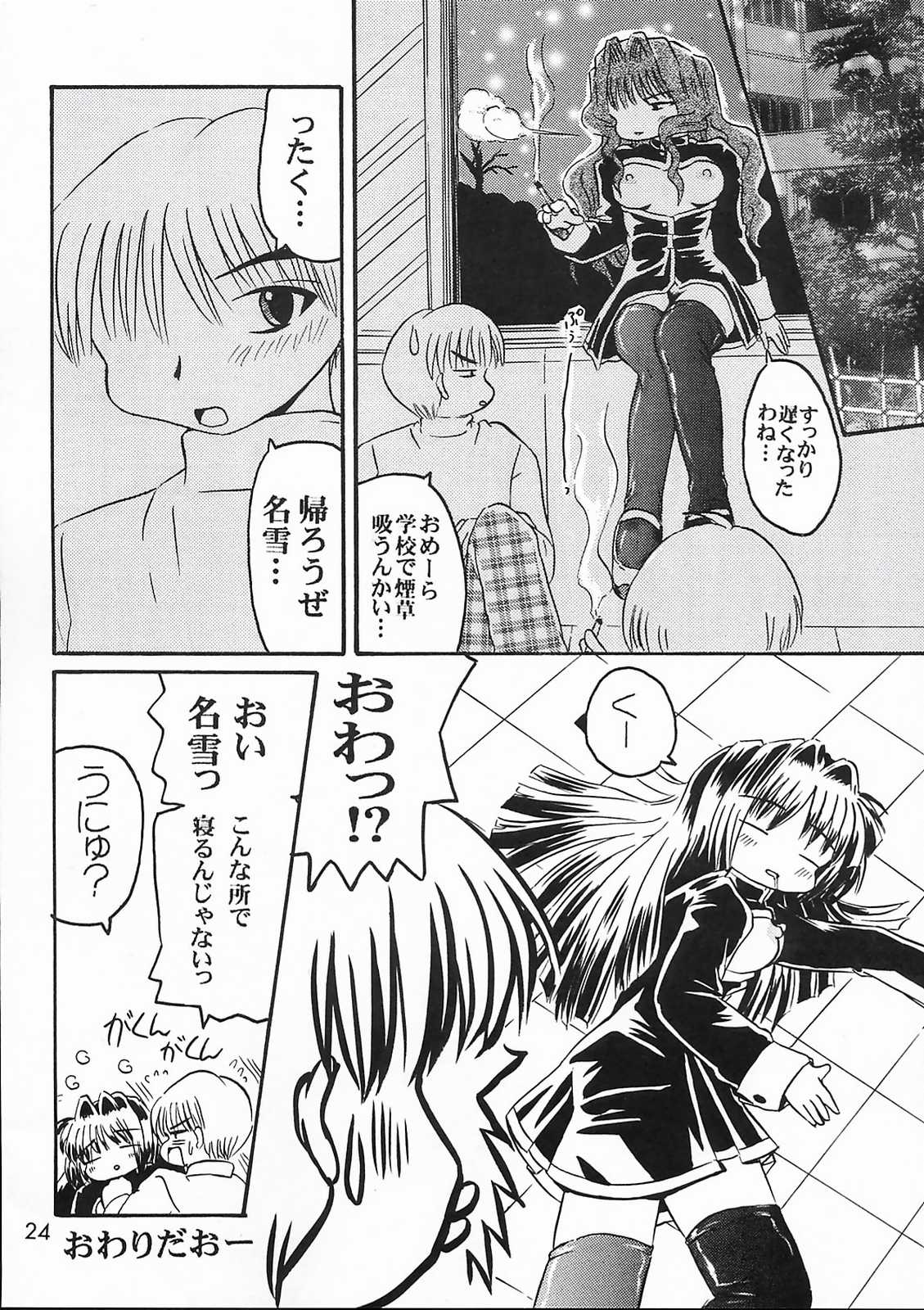 [SOUL COMPANY (鳳凰KIM)] 美坂チーム The Team Misaka (カノン)