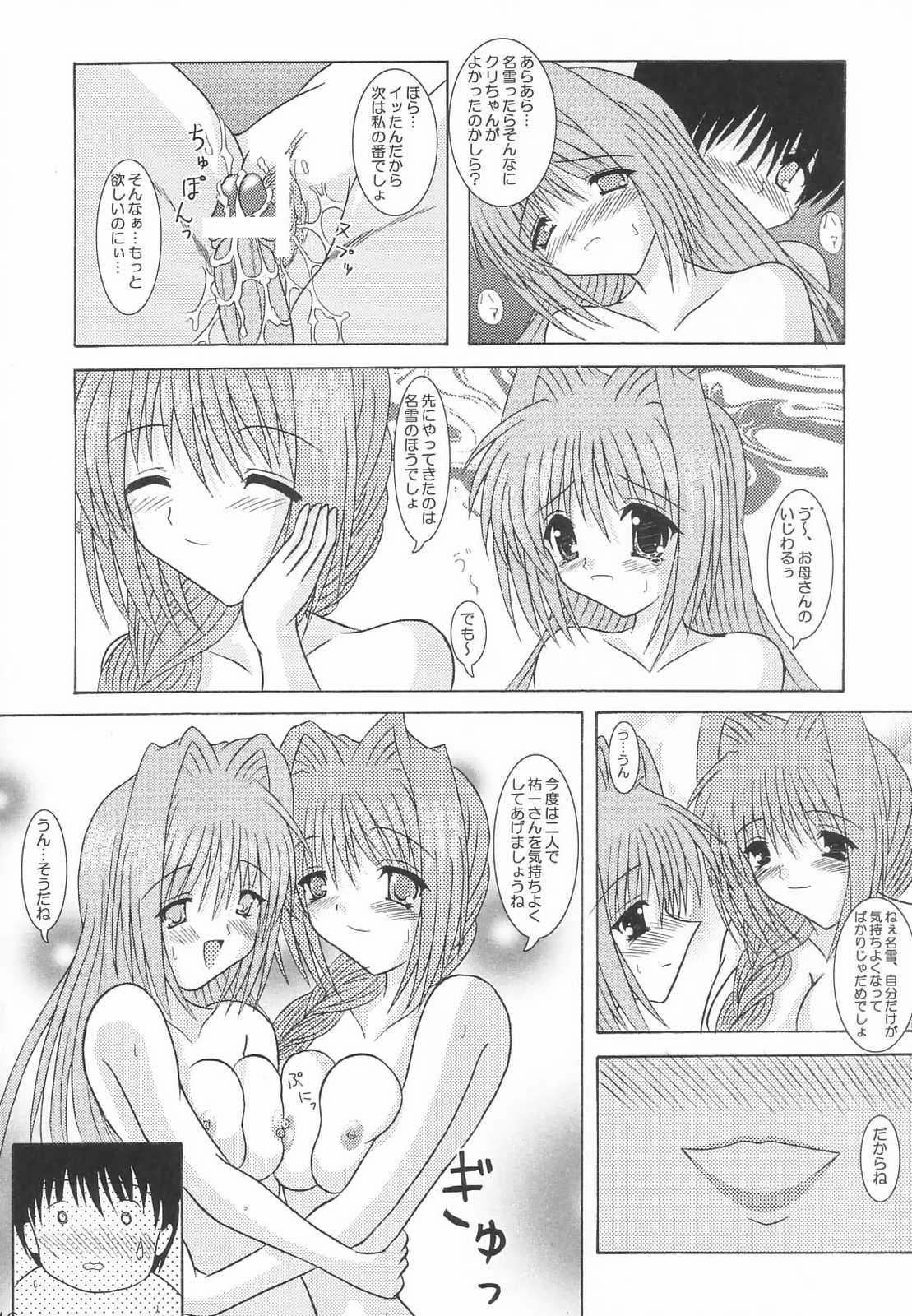 (サンクリ20) [紀霊なお姉さん (和泉弥生)] 了承２ (カノン)
