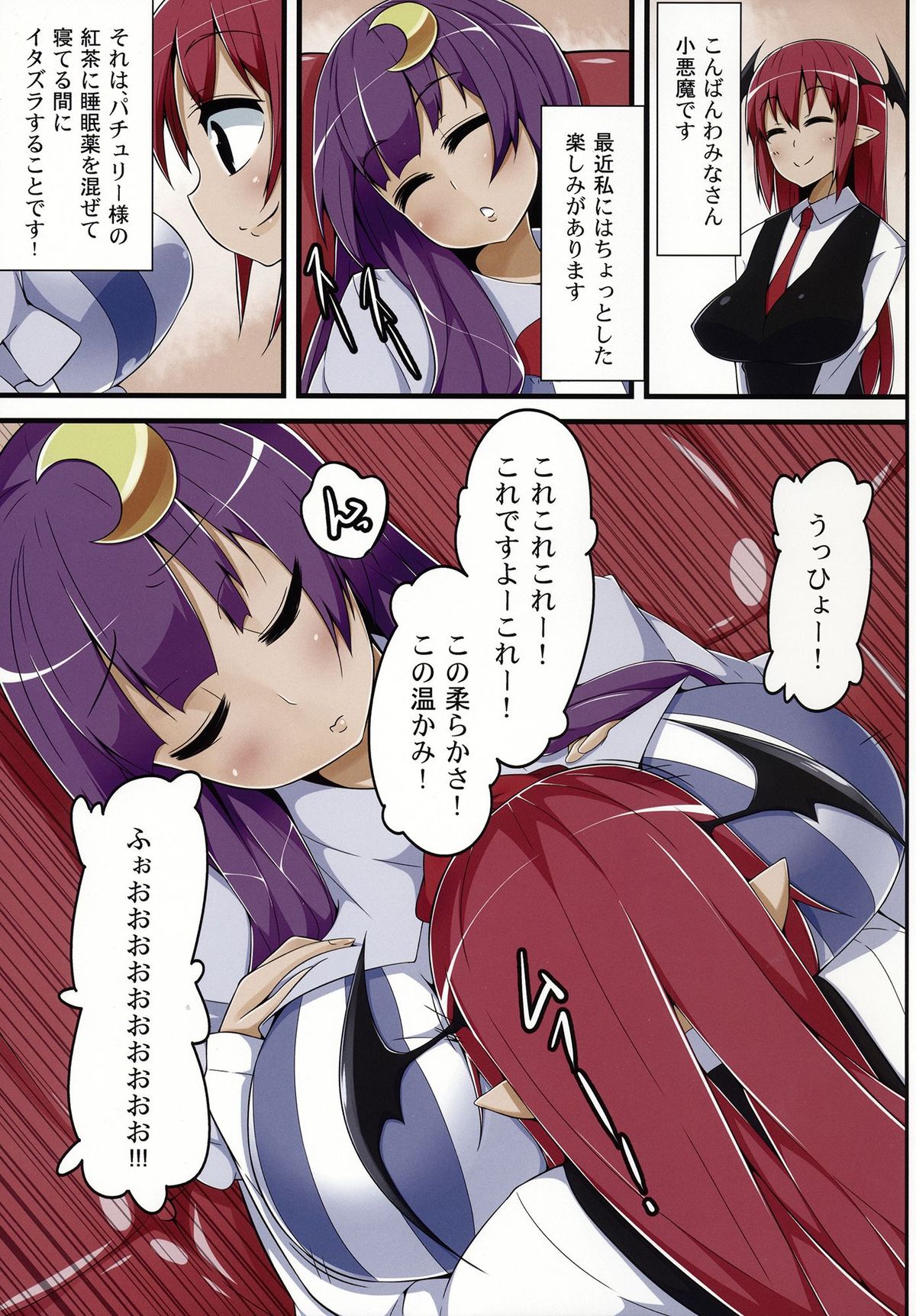 (C84) [日当良好 (トウドリ)] TOTO 02 (東方Project)