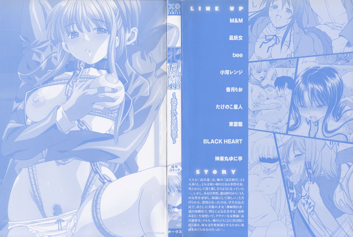 [アンソロジー] 牝奴隷 ~犯された放課後~