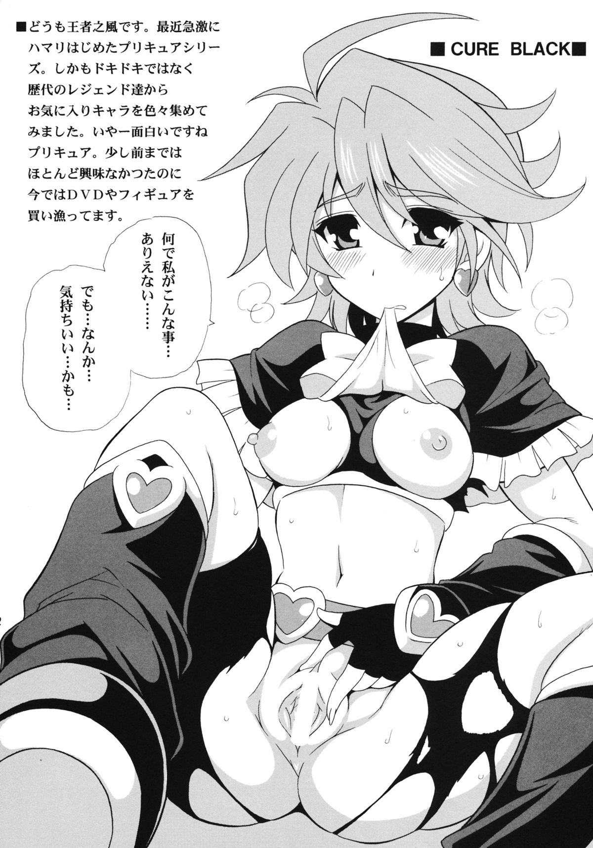 (サンクリ61) [りーず工房 (王者之風)] PRETTY (プリキュア)