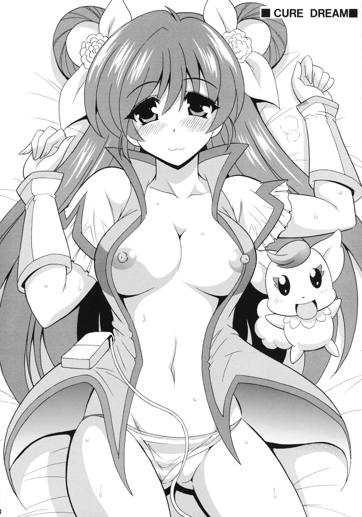 (サンクリ61) [りーず工房 (王者之風)] PRETTY (プリキュア)