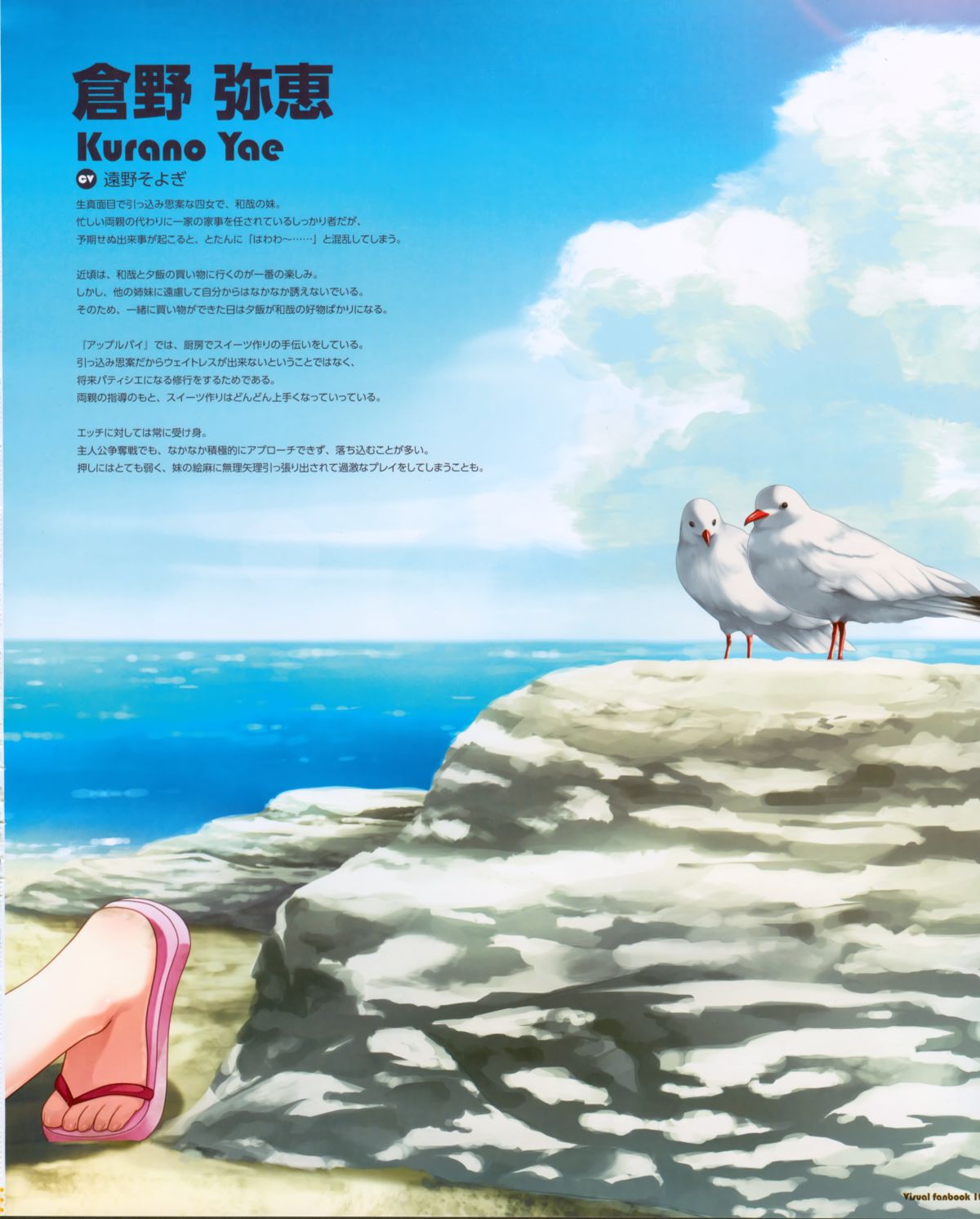 CUBE 倉野くんちのふたご事情 Visual Fanbook