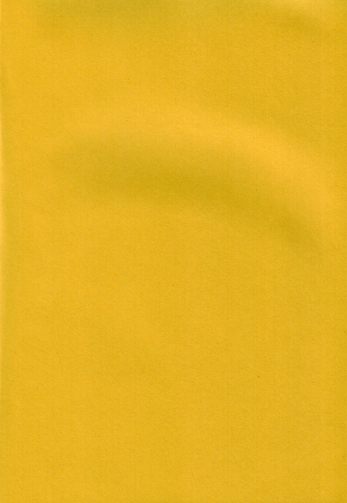 (サンクリ29) [I&I (Naohiro)] SHINJI 04 - rei & askua (新世紀エヴァンゲリオン)