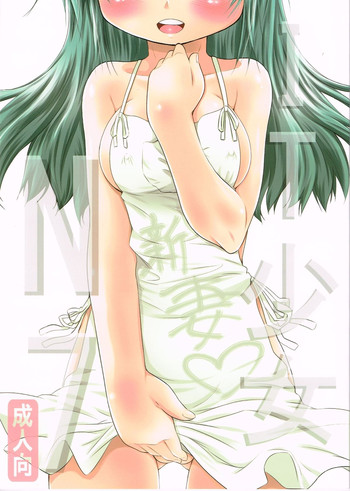 (COMIC1☆6)[ふぇすた。(義谷元日)] IT少女N7 (ひだまりスケッチ)