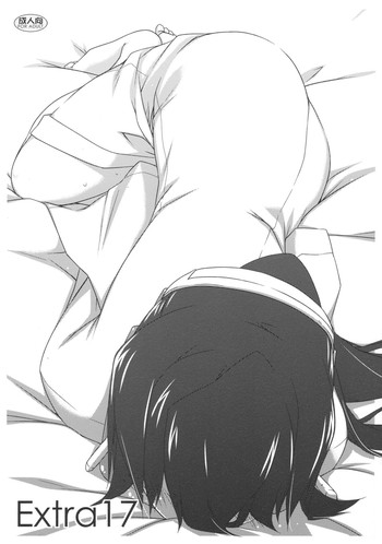 (C84) [行脚堂 (しけー)] Extra17 (境界線上のホライゾン)