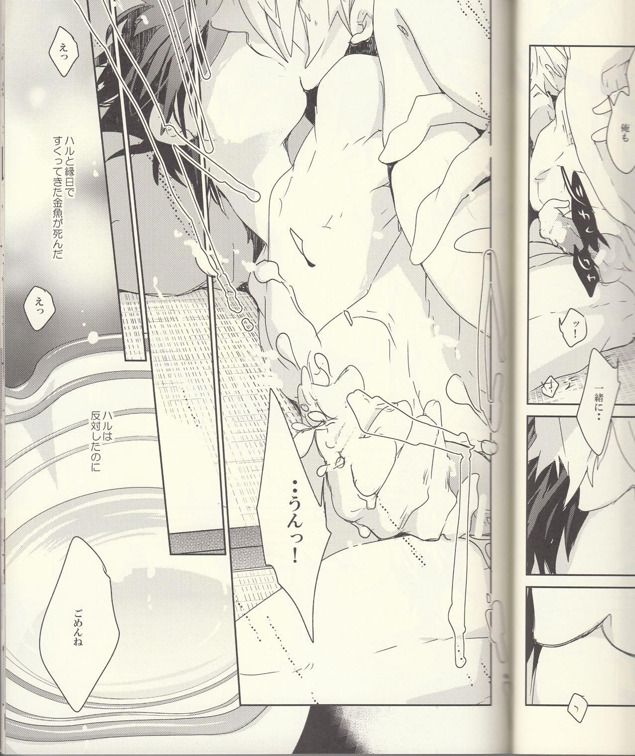 (恋愛自由形!準備運動)	[万有 (あおいれびん)] 成長期 (Free!)