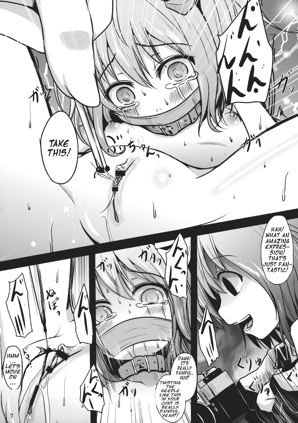 (天狗様のお仕事4) [きつねとぶどう (くろな)] 楽しい取材 (東方Project)