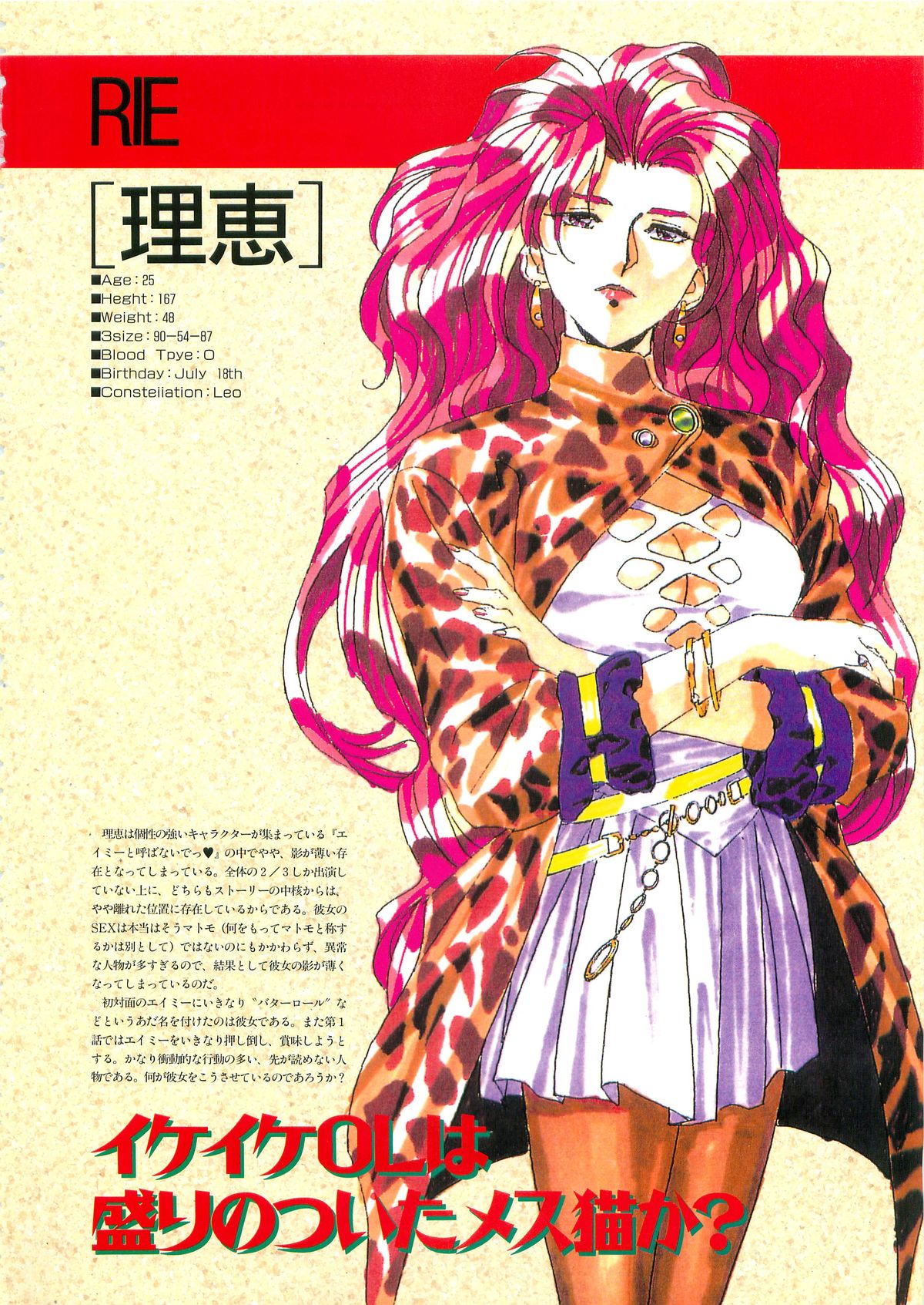 エイミーと呼ばないでっwithシーズウェア大図鑑 （ＥＩＣＨＩ　ＭＯＯＫ）