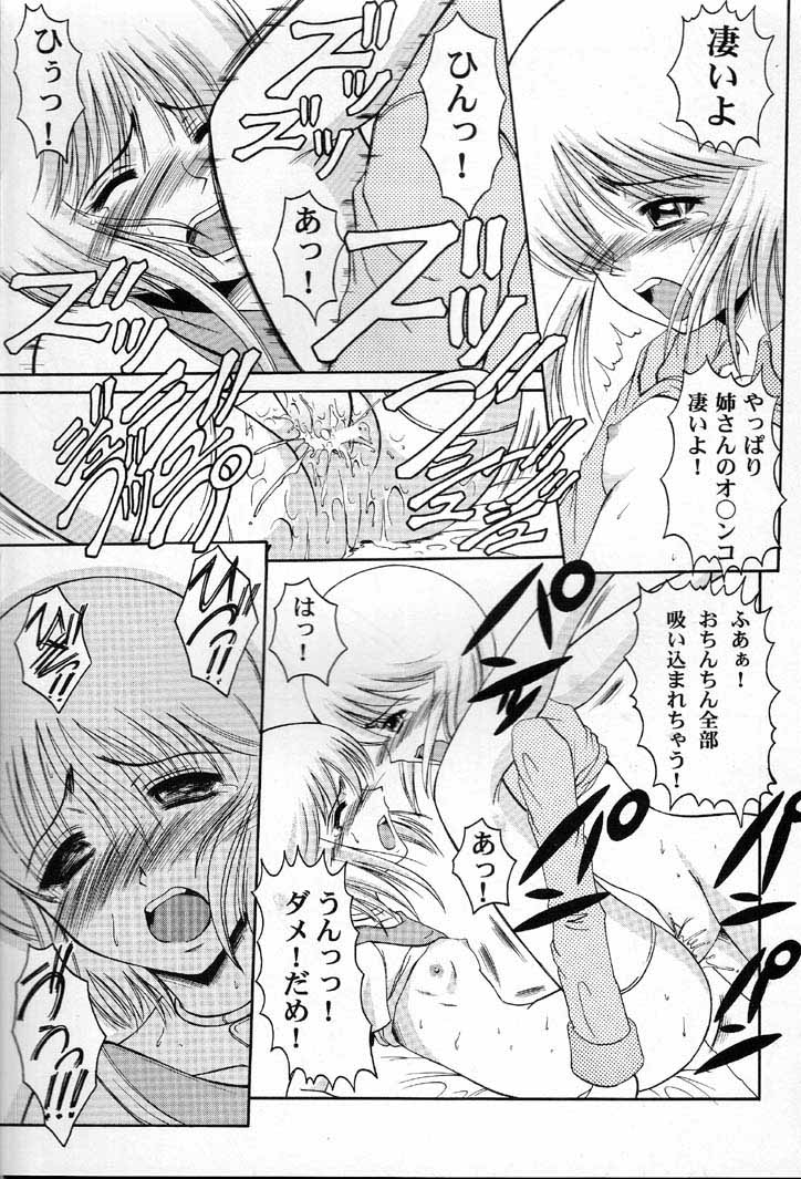 [Andorogynous (清瀬薫)] Andorogynous vol.2 (機動戦士ガンダムΖΖ)