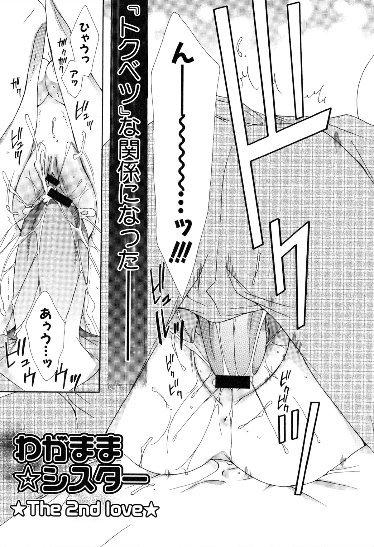 [RINRIN] 僕と姉と妹と