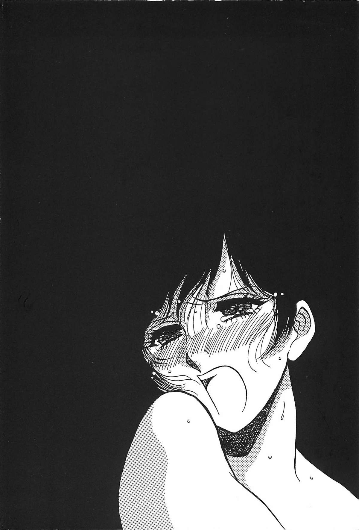 [山本夜羽] ORGAN-BOX