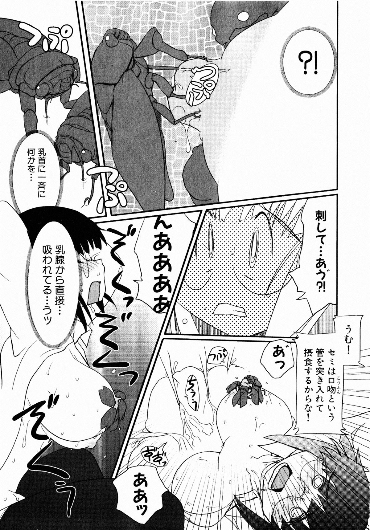 コミックXO 2008年10月号 Vol.29