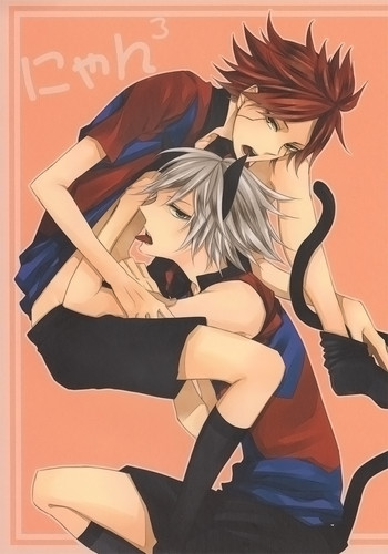 [エンドロール] にゃん×3 (イナズマイレブン)