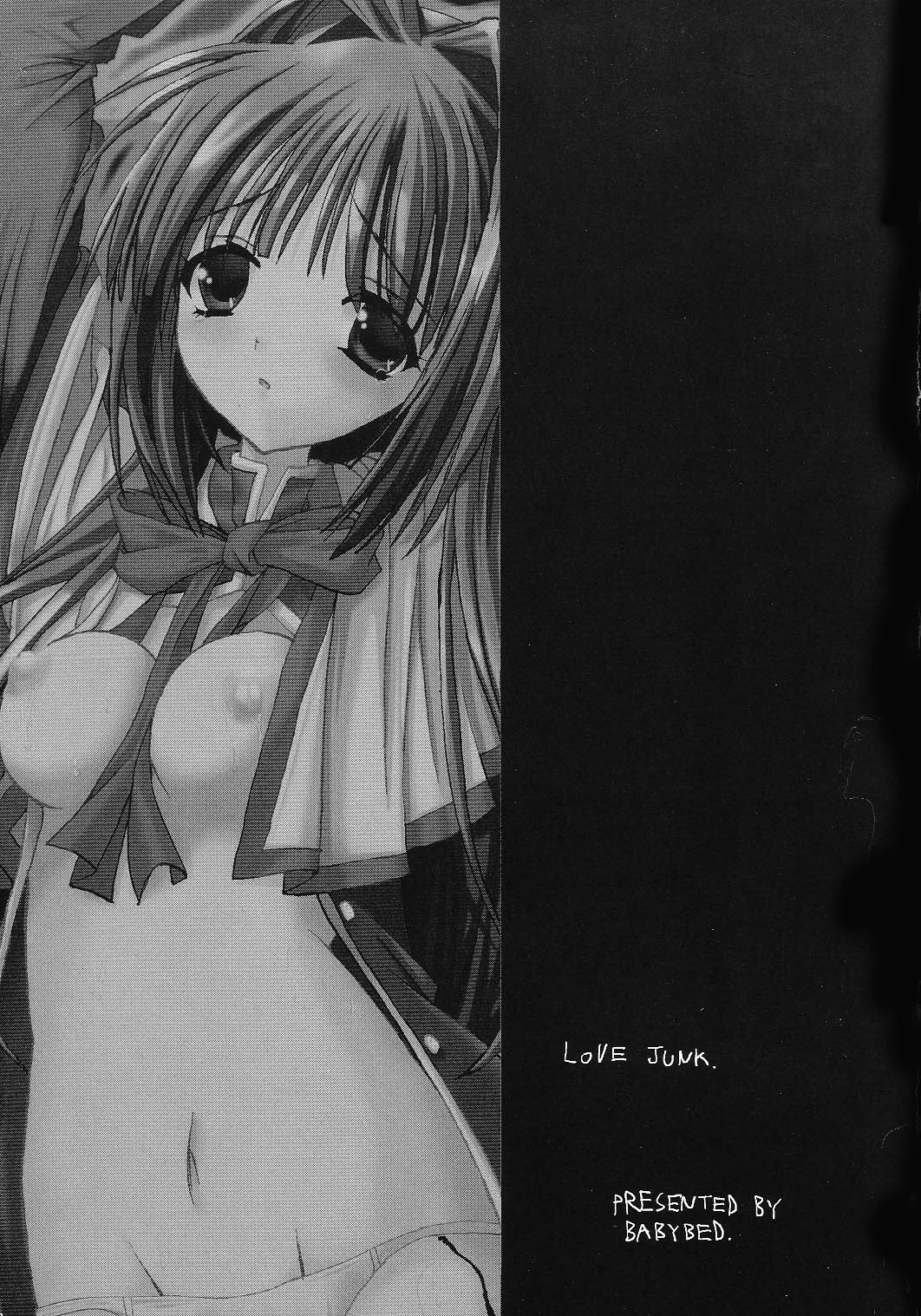 (C65) [ベビーベッド (SAS)] LOVE JUNK (カノン)