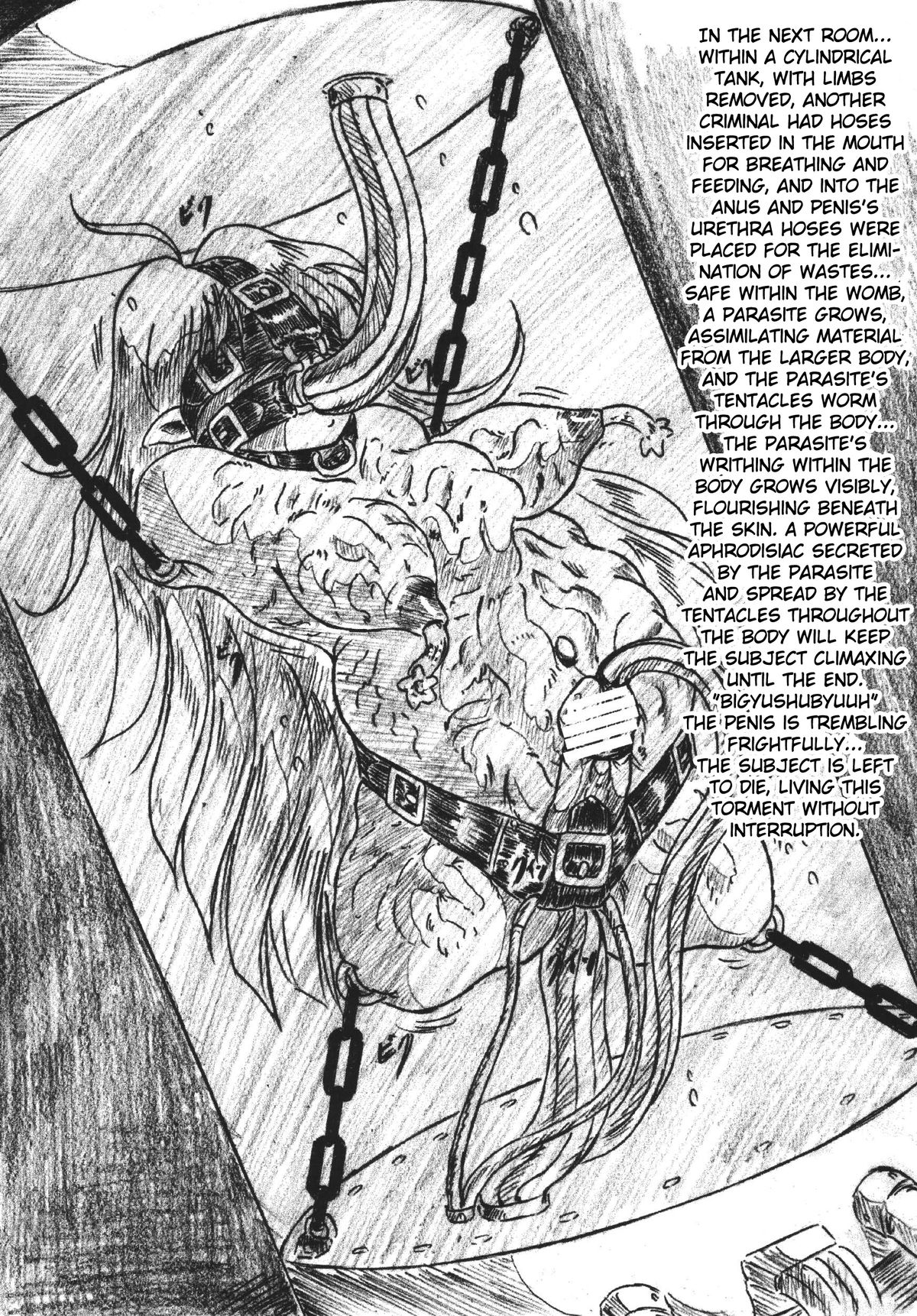 (C68) [すもも堂 (すももEX)] びびあん別冊.29 姫様と拷問部屋ふたなりバージョン [英訳]