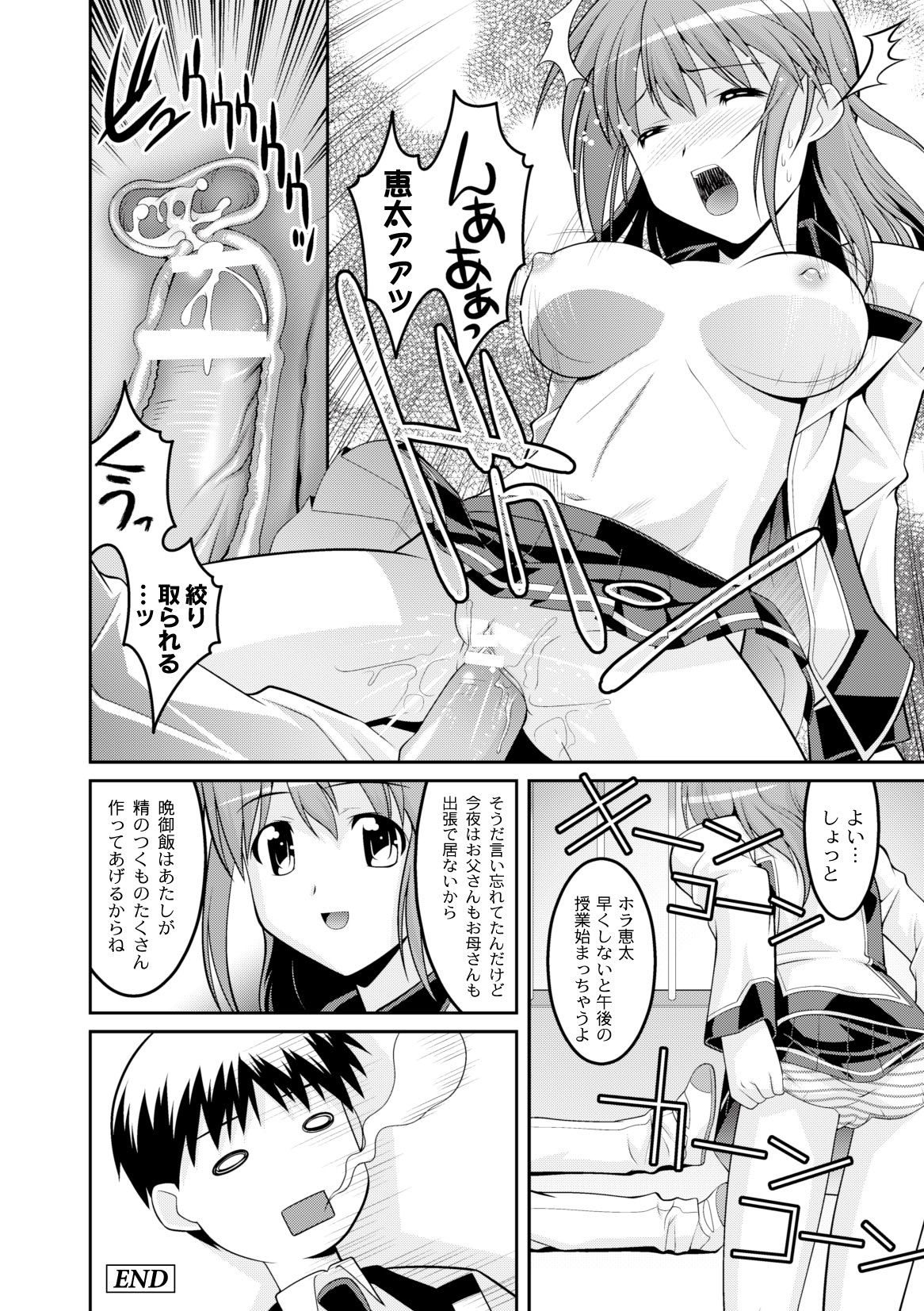 コミックプラム 2010年04月号 Vol.14 [DL版]