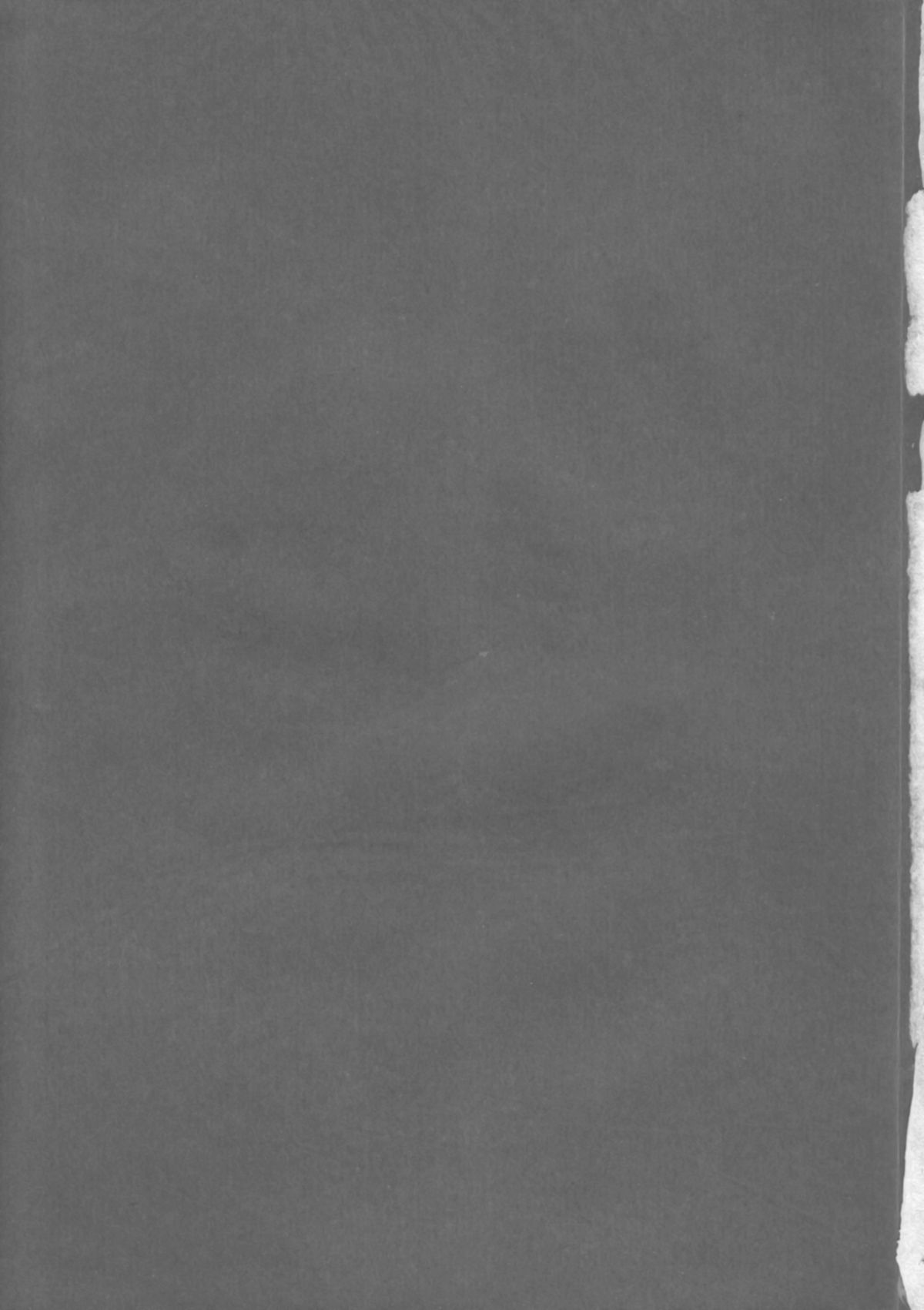 [BECT (青梅街人)] wish (鋼鉄天使くるみ)