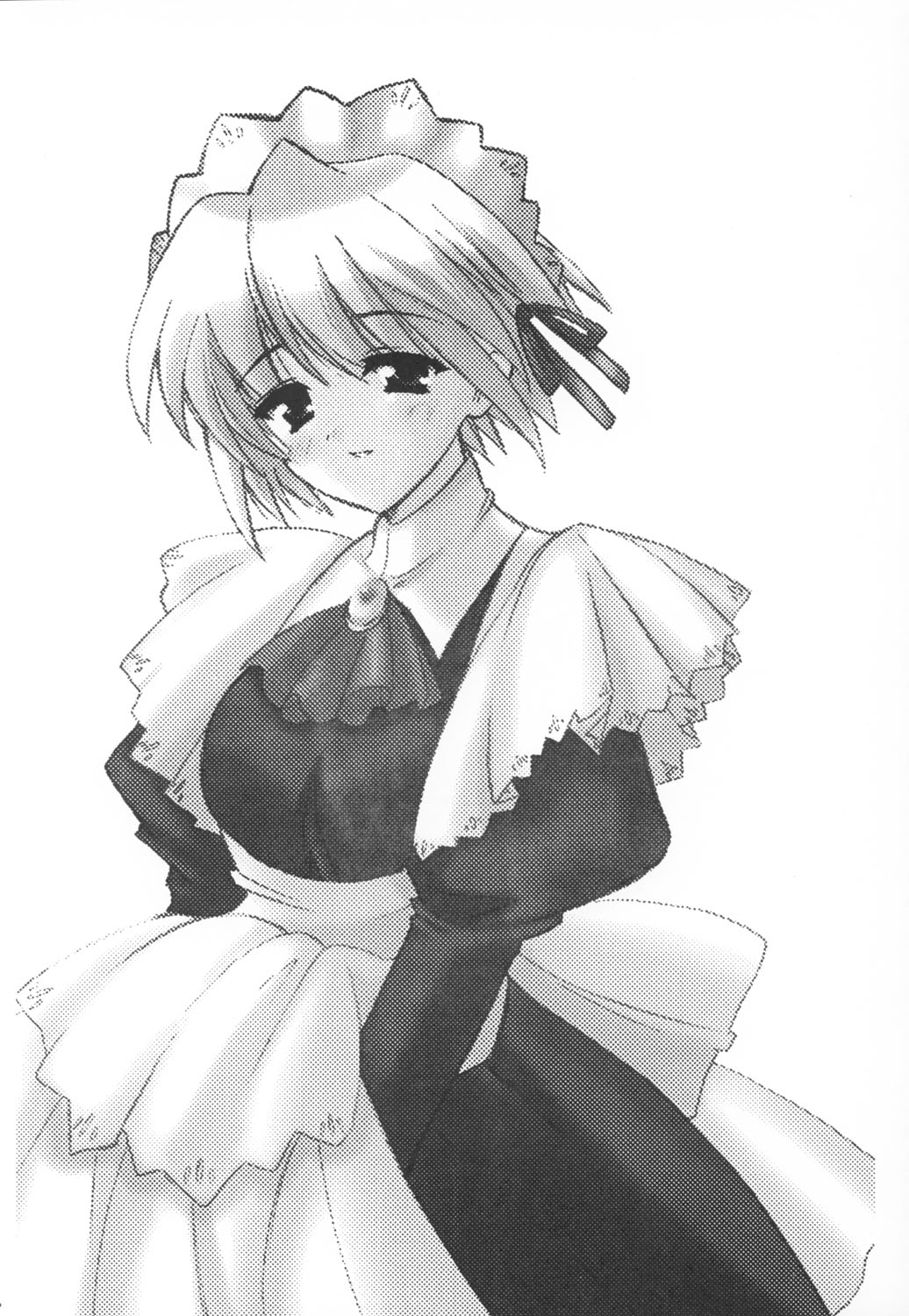 (C63) [たからのすずなり (こうのゆきよ)] 窓の友七号 (水月)