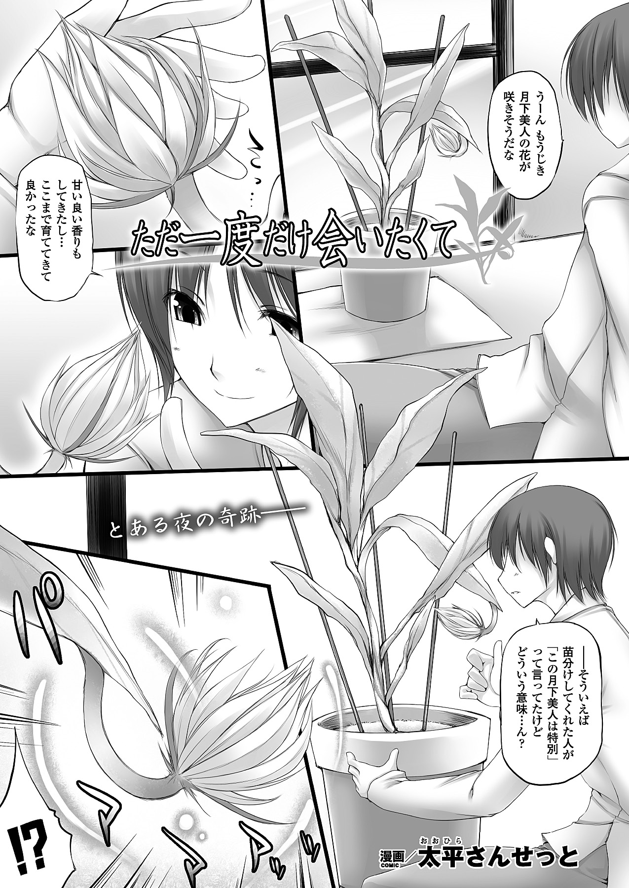 コミックアンリアル 2011年04月号 Vol.30 [DL版]