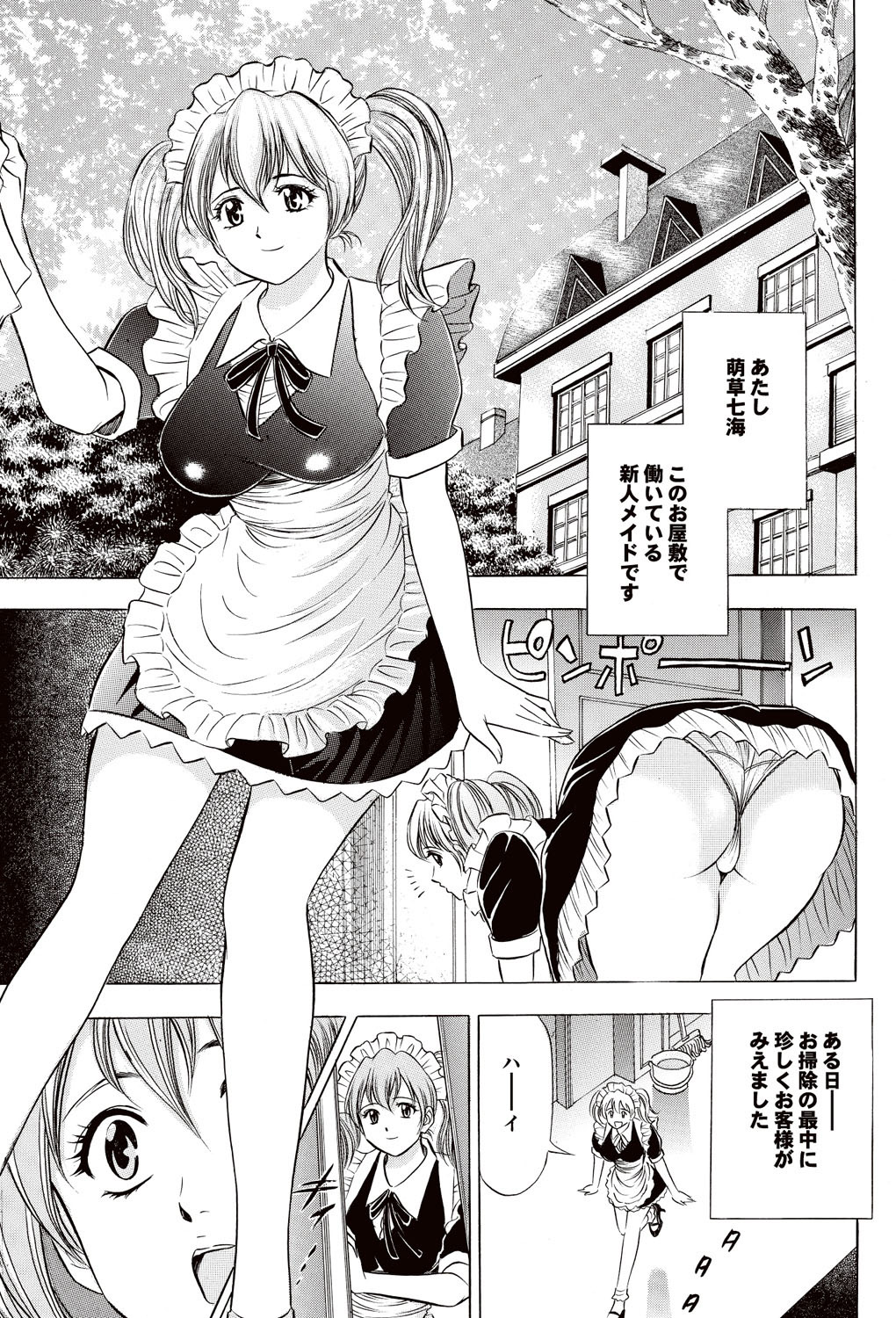 [雑誌] COMICプルメロ 2007年02月号 Vol.4 [DL版]