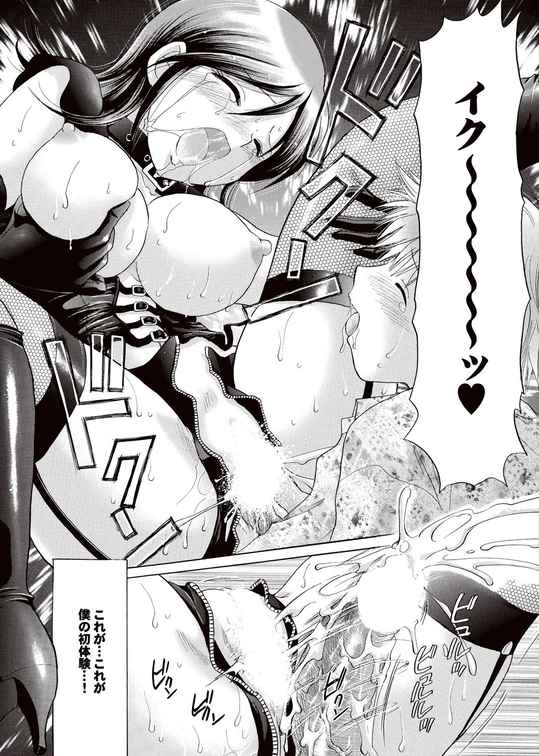 [雑誌] COMICプルメロ 2007年02月号 Vol.4 [DL版]