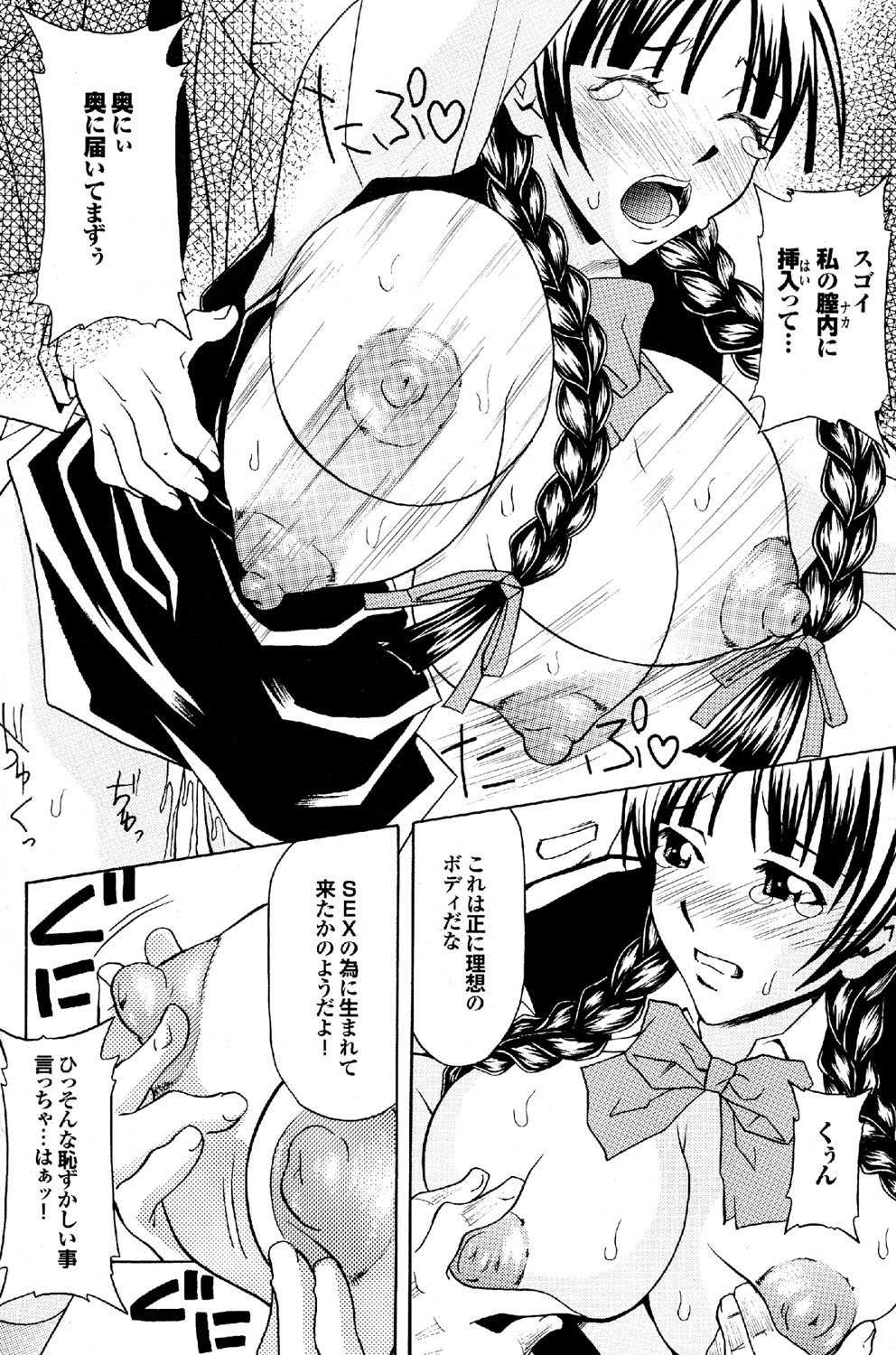 [雑誌] COMICプルメロ 2007年02月号 Vol.4 [DL版]